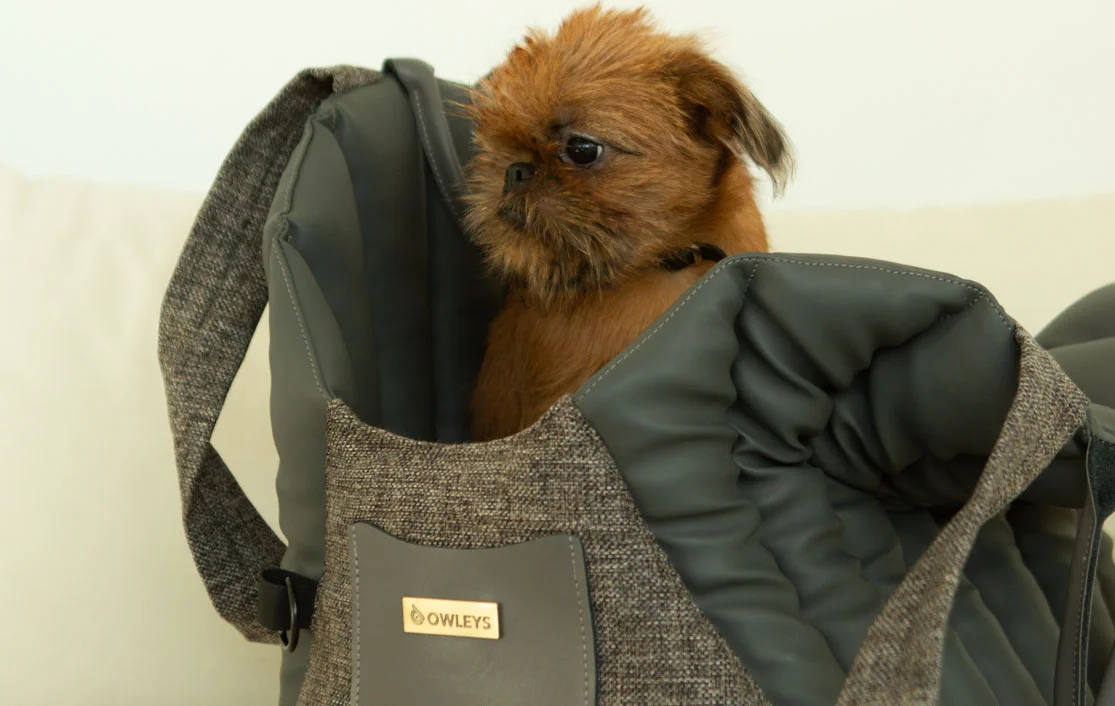 Pomeranian Dog Carrier Car Seat for Ford Fusion