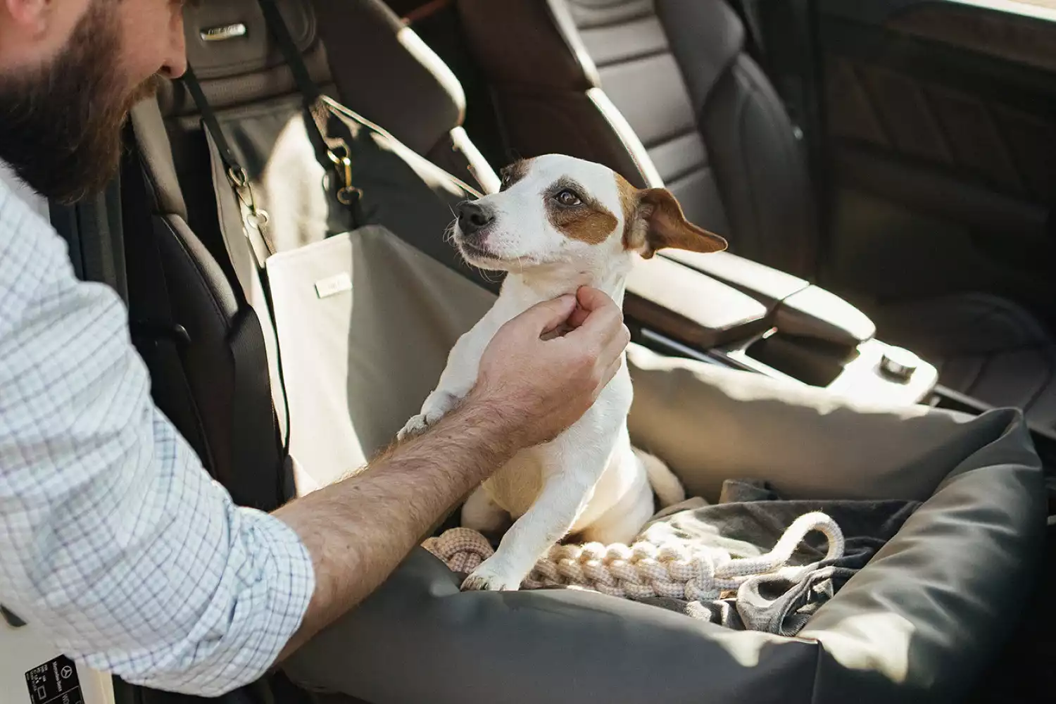 Shar-Pei Dog Car Seat for Hyundai Santa Fe